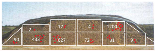Figura 1 – Distribuzione delle micotossine in una trincea di insilato