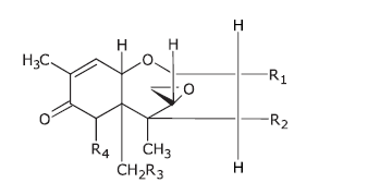 Figura 2: struttura dei Tricoceni di tipo B
