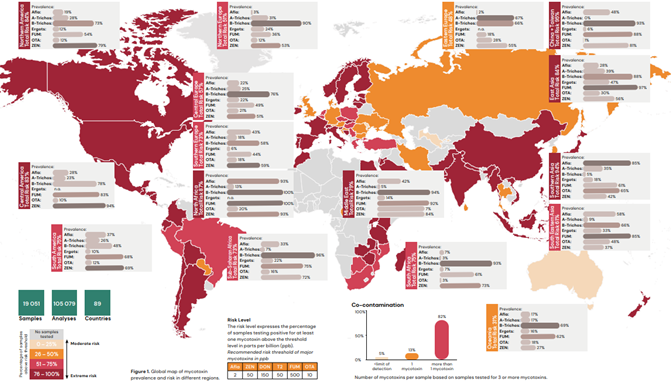 Immagine 1: Rischio di contaminazione da micotossine in cereali usati nelle formulazioni dei mangimi di suini