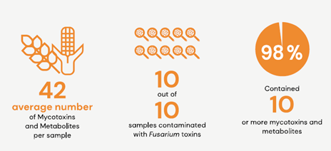 Immagine 3: numeri sulla co-contaminazione