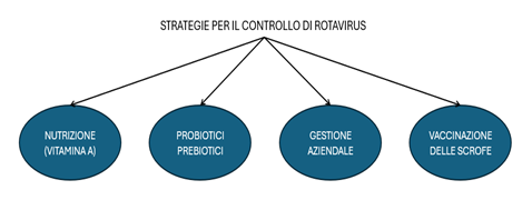 Fig. 1: Strategie per il controllo del rotavirus