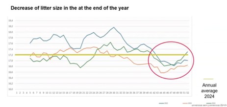 Grafico 1: diminuzione nati vivi