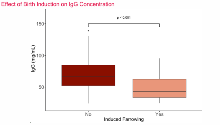 Figura 2: effetto dell’induzione sulla concentrazione di immunoglobuline. MSc ETH Agr Philipp T , 17th European Symposium of Porcine Health Management | Philipp T. Egli | Florence
