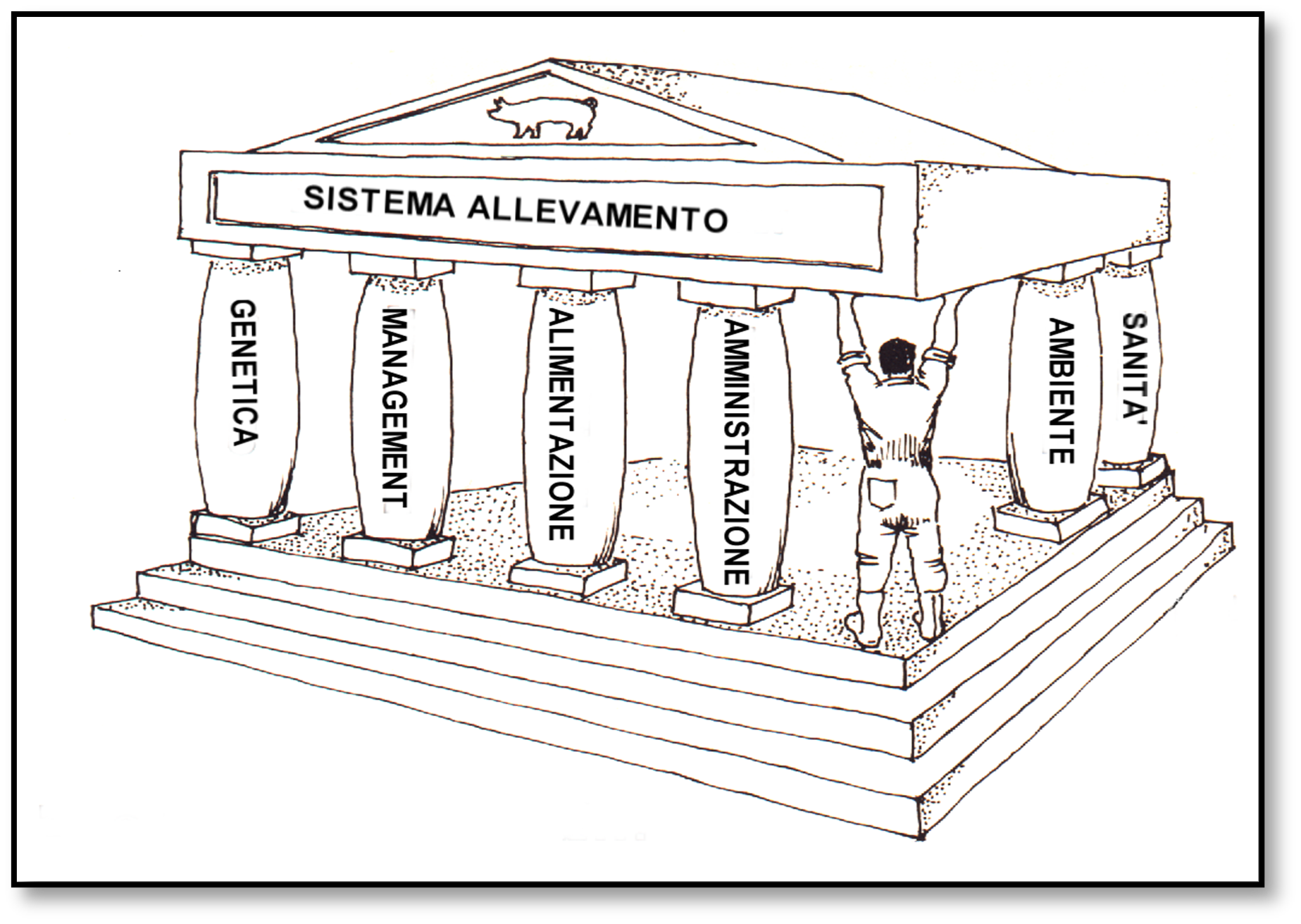 Il sistema allevamento nella visione del Prof. Tarocco
