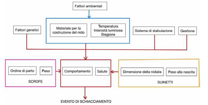 Figura 1: Schema eventi di schiacciamento