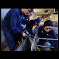 AA24_25_095