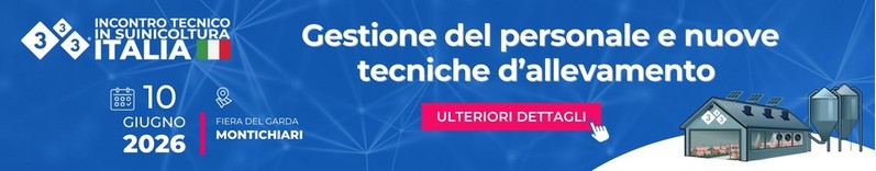 333 Experience Italia