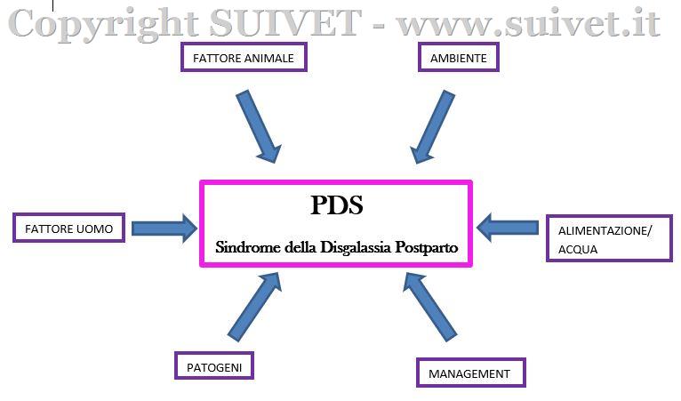 Schema dei fattori che collaborano al crearsi della PDS