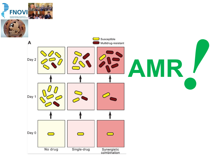 Schema di progressione dell'antimicrobicoresistenza