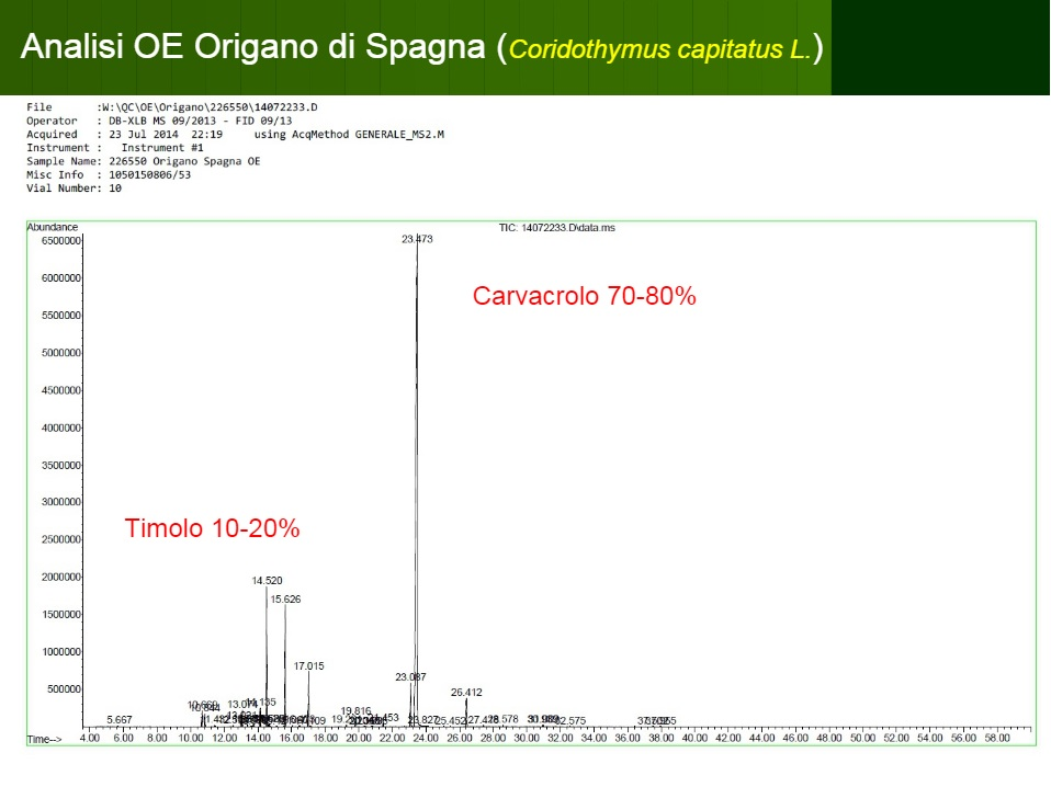 analisi della composizione dell’olio essenziale (fitocomplesso) dell’Origano 