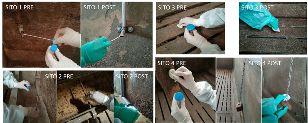 Fig. 1: procedure di prelievo campioni